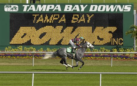 Tampa Bay Downs Racecourse Tips .